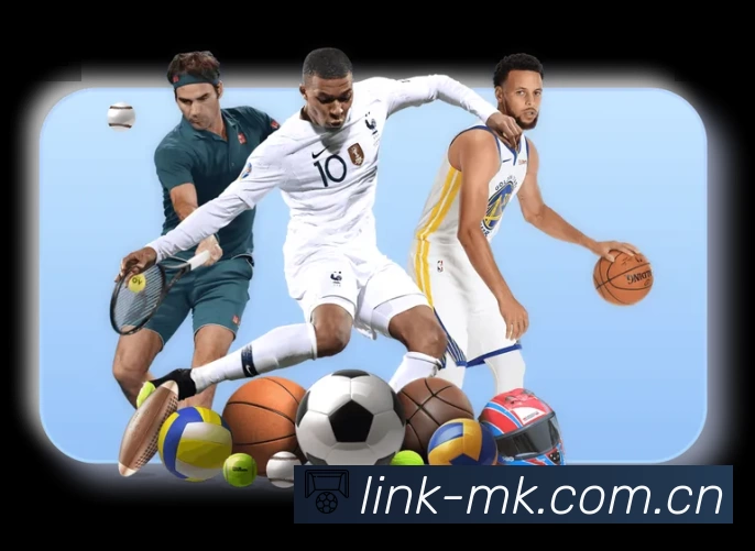 MK体育APP界面展示